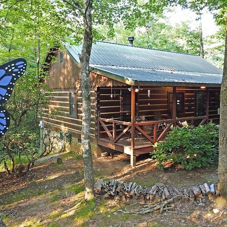 Laurel Creek- Blue Ridge Villa Luaran gambar