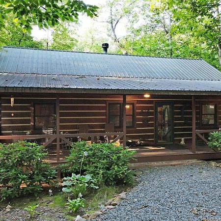 Laurel Creek- Blue Ridge Villa Luaran gambar