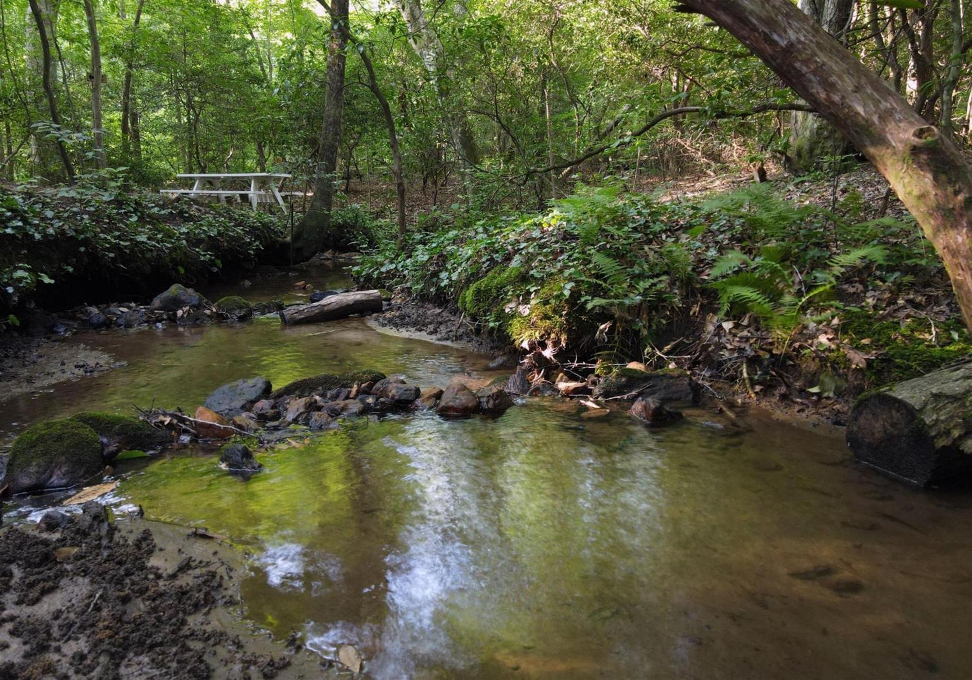 Laurel Creek- Blue Ridge Villa Luaran gambar
