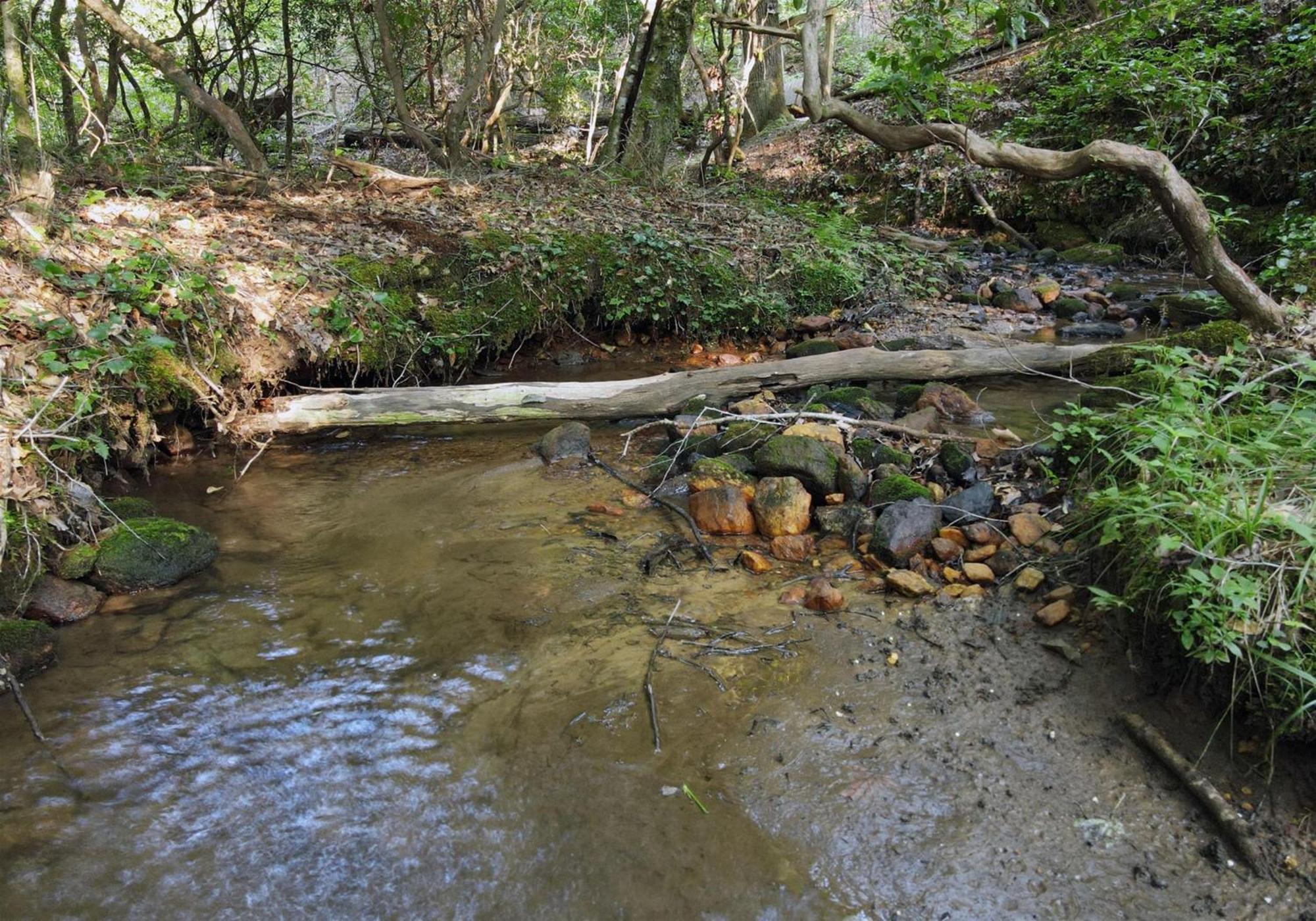 Laurel Creek- Blue Ridge Villa Luaran gambar