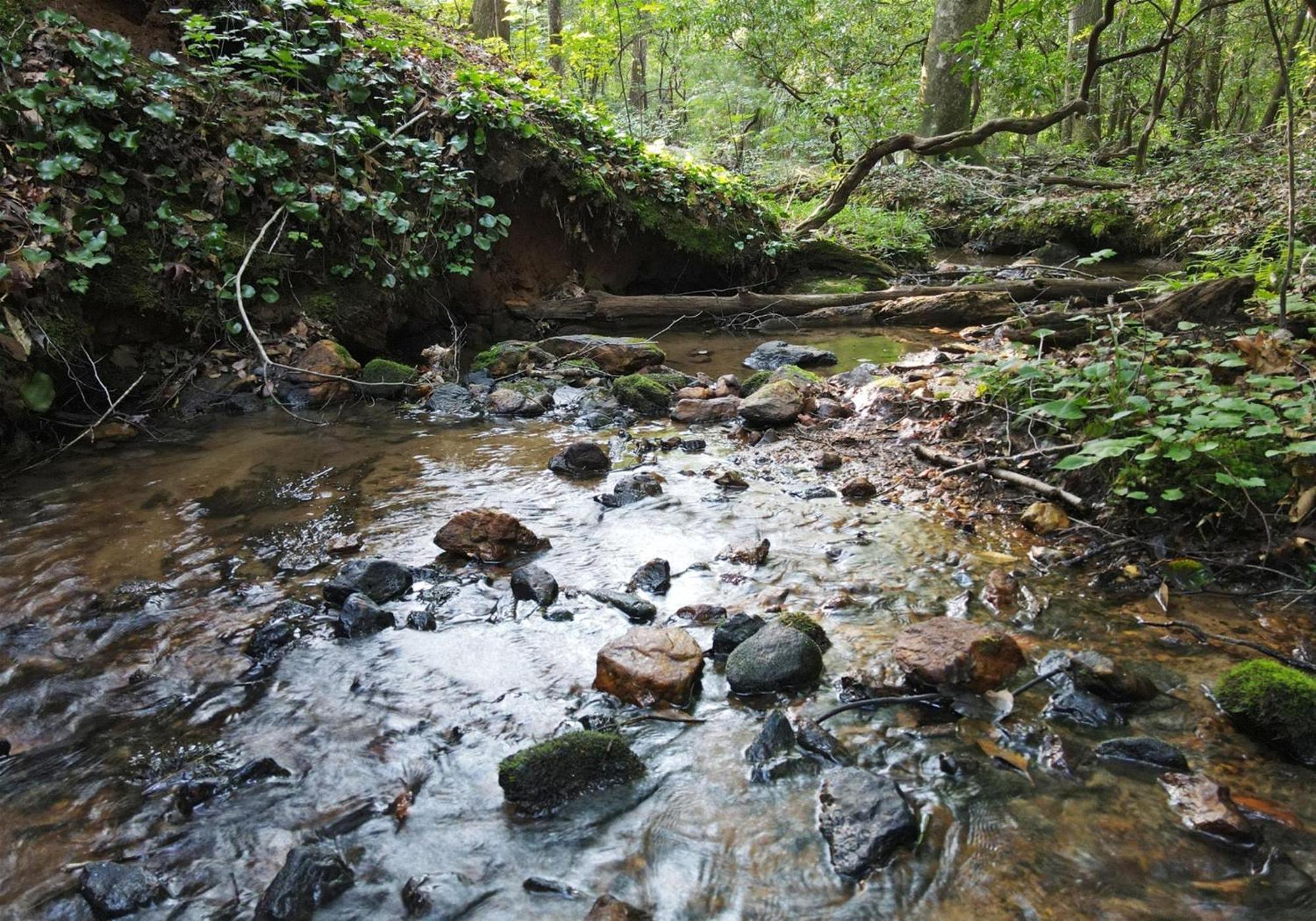 Laurel Creek- Blue Ridge Villa Luaran gambar